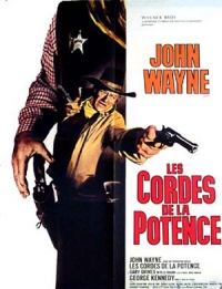 LES CORDES DE LA POTENCE